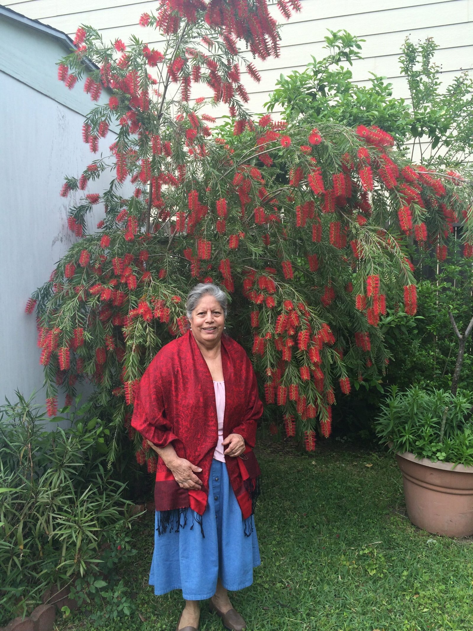 Amalia Hernandez Moya